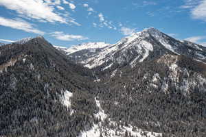 View of mountain background featuring a heavily wooded area