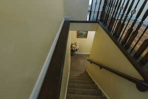 Stairway with carpet flooring and baseboards
