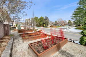 View of yard with a vegetable garden and a residential view
