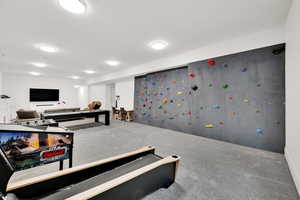 Recreation room featuring carpet floors