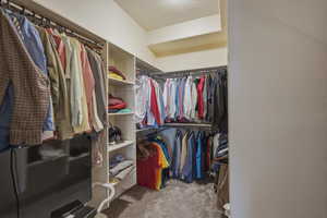Walk in closet with light colored carpet