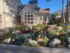 Last summer's beautiful gardens