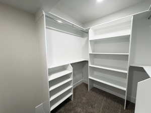 Master walk in closet with dark colored carpet