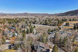 Aerial perspective of suburban area with a mountainous background