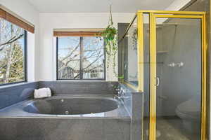 Full bath featuring a stall shower and a whirlpool tub