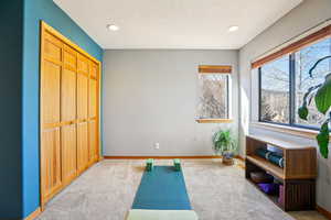 Workout room featuring light colored carpet, recessed lighting, and a textured ceiling