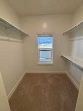 Walk in closet with dark carpet