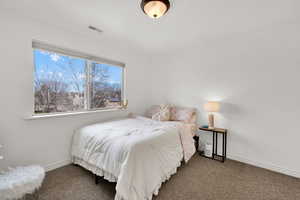 Bedroom with carpet floors and baseboards