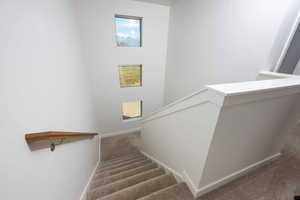 Stairway featuring carpet flooring and baseboards