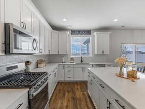 Kitchen featuring stainless steel appliances, white cabinetry, dark wood-type flooring, light stone countertops, and recessed lighting