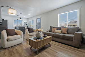 Living room featuring light wood-type flooring and recessed lighting