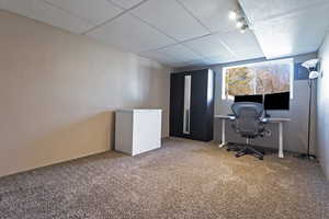 Home office with a paneled ceiling and light carpet
