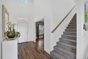 Entrance foyer with dark wood-style flooring and a high ceiling
