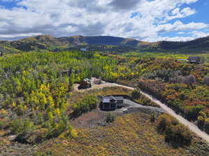 View of mountain background with a heavily wooded area