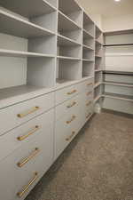 Walk in closet featuring dark colored carpet