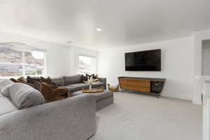 Living room with light carpet
