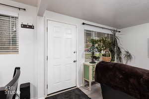 Entrance foyer with light wood-style flooring and plenty of natural light