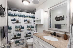 Full bathroom with vanity and a shower with curtain