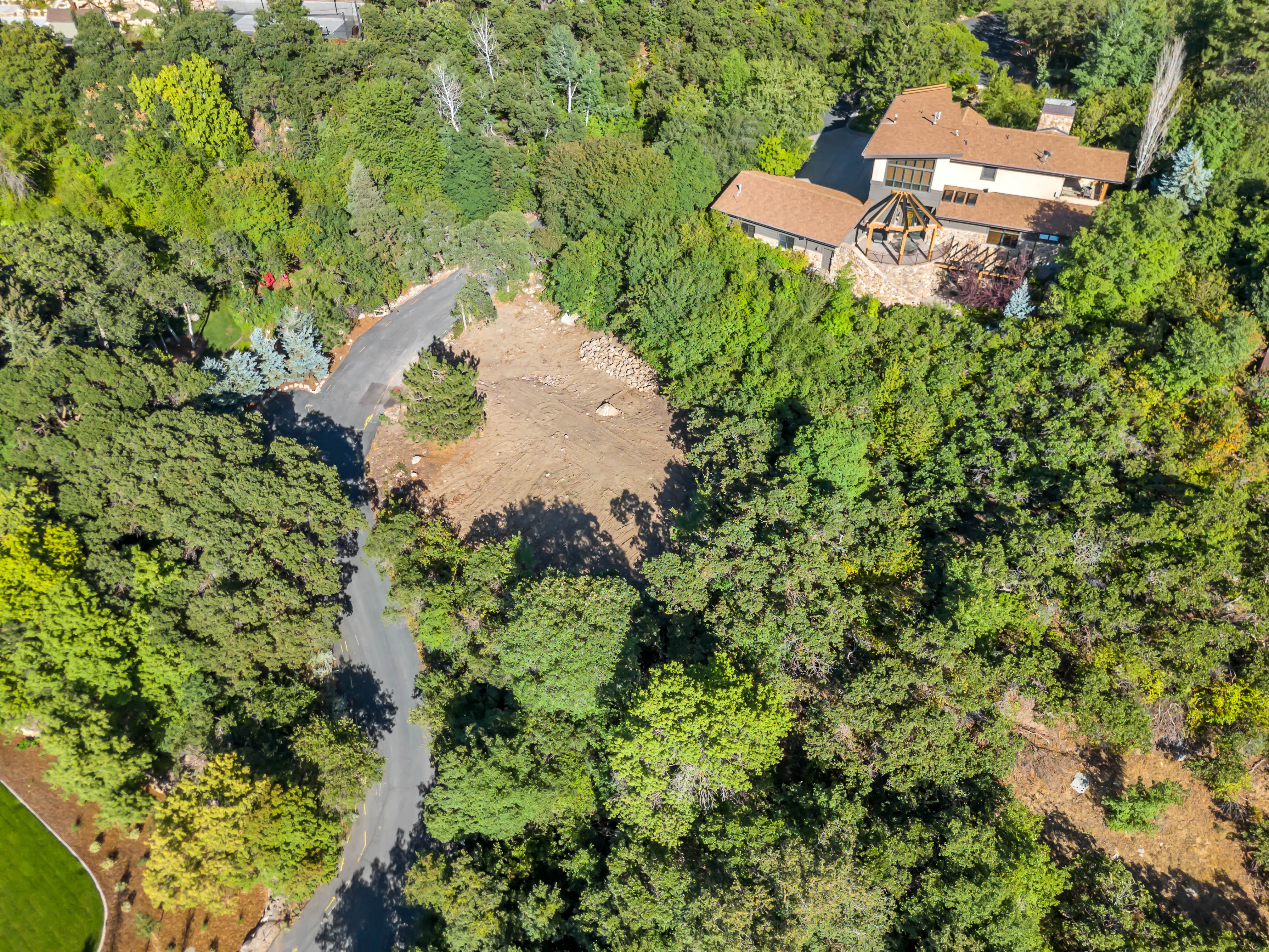 Bird's eye view of a forest