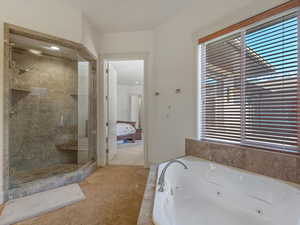 Primary bathroom featuring a shower and a jetted tub