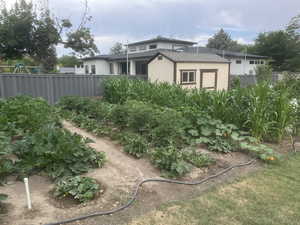 View of yard with a vegetable garden in 2025