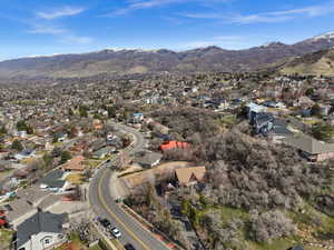 Aerial perspective of suburban area with a mountain backdrop