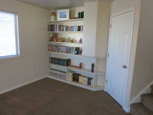 Built in Bookshelves