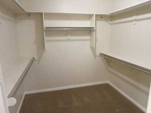Master Bedroom Walk-in Closet