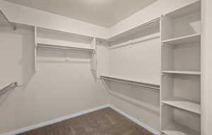 Spacious Walk-in closet with carpet