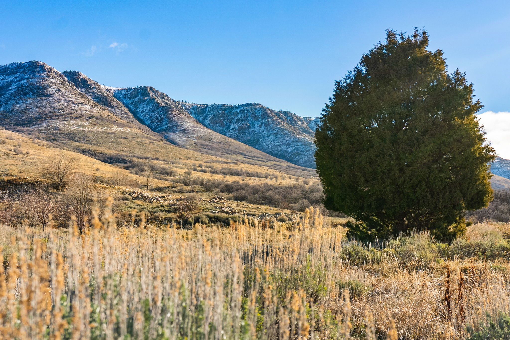 View of mountain backdrop