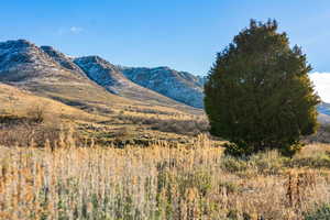 View of mountain backdrop