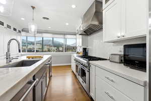 Kitchen with a mountain view, ventilation hood, stainless steel appliances, dark wood-type flooring, and light stone counters