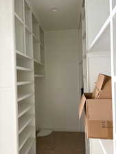 Walk in closet featuring dark colored carpet