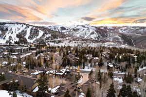 View of mountain background featuring a tree filled landscape