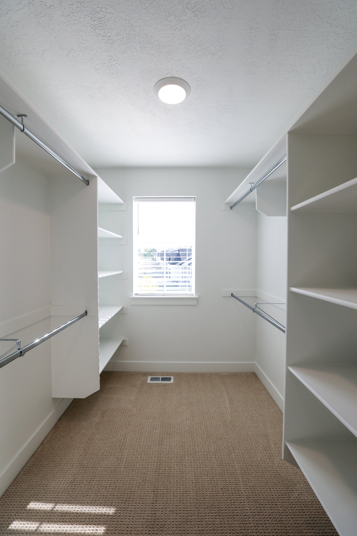 Walk in closet with light colored carpet