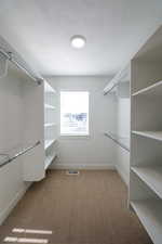 Walk in closet with light colored carpet