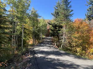 View of asphalt road featuring a forest view