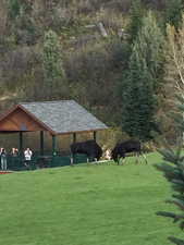 View of home's community