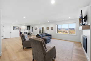 Living area featuring light wood-type flooring, a fireplace, and recessed lighting