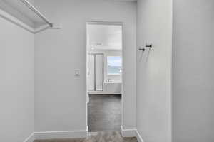 Walk in closet featuring carpet flooring