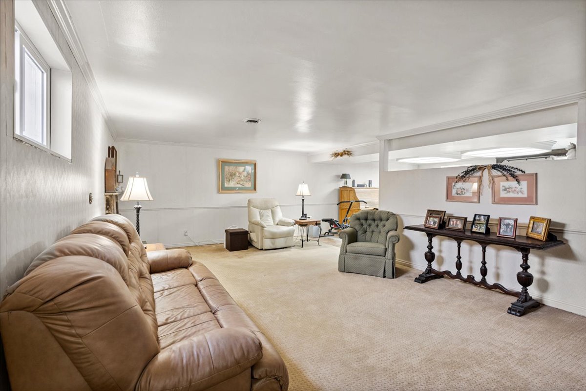 Family room featuring carpet floors and crown molding