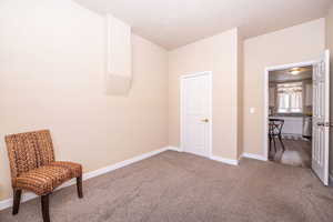 Sitting room with carpet flooring