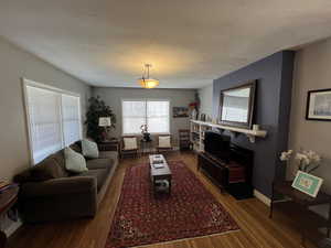 Living room featuring dark wood-type flooring and a textured ceiling