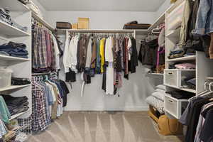 Walk in closet featuring light colored carpet
