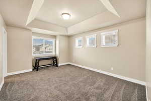 Unfurnished room with a raised ceiling and dark carpet