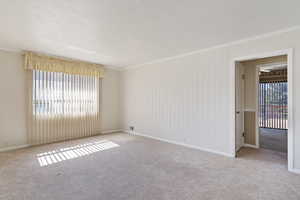 Carpeted empty room featuring a textured ceiling and ornamental molding