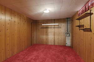 Finished basement featuring carpet and wood walls