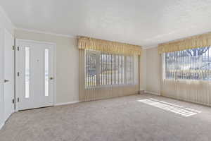 Carpeted foyer featuring crown molding and a textured ceiling