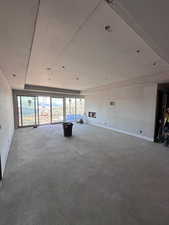 BASEMENT LIVING ROOM