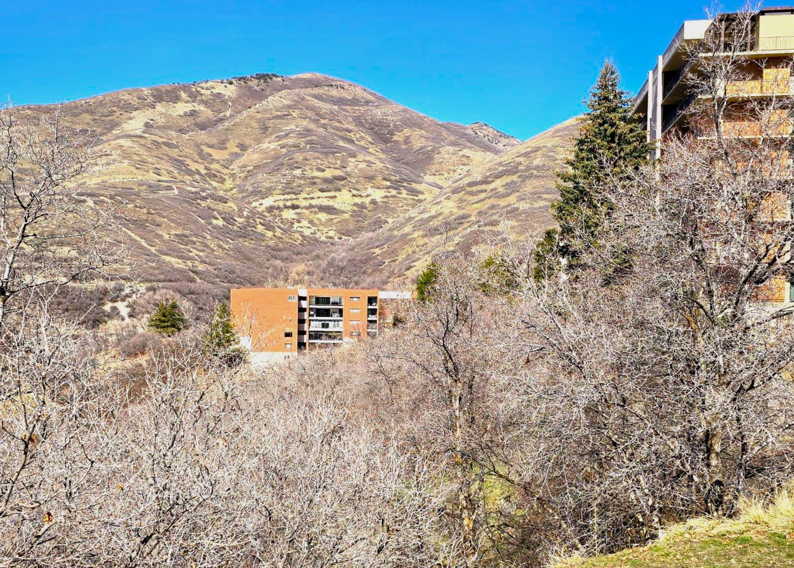 View of the project located at the end of a cul-de-sac